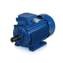 Электродвигатели стандарта DIN ESQ 180L 6
