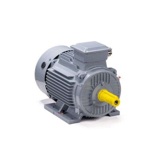 Электродвигатель ESQ PR 160 S2 GST-Б1-S12-IE2 IM 1001