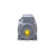 Электродвигатель ESQ PR 160 S2 GST-Б1-S12-IE2 IM 1001
