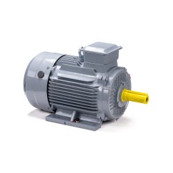 Электродвигатель ESQ PR 160 S4 GST-Б1-S12-IE2 IM 2001