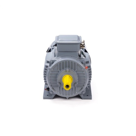 Электродвигатель ESQ PR 160 S6 GST-Б1-S12-IE2 IM 1001