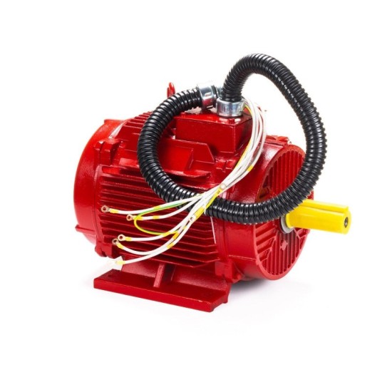 Электродвигатель ESQ 18.5.2-FR-400C- IM 1081