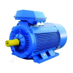 Электродвигатель 5АИ 355 М2 315/3000 IM1001/1081 315кВт 380/660В У2
