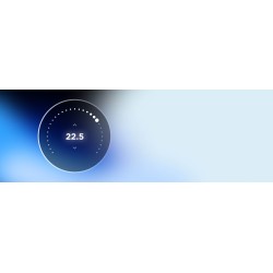 MVW-T