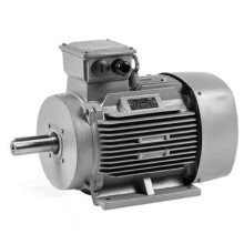 OMTG-RT 160S4 15/1500 15кВт