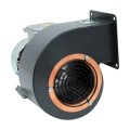 Vortice