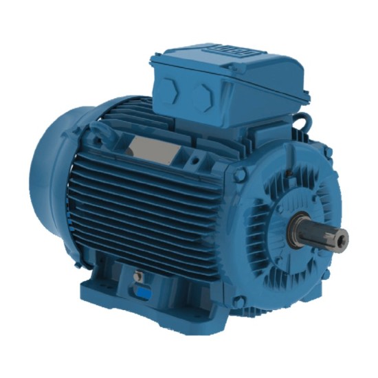 Электродвигатель W22 63 2Р 0,37 кВт IM1081 220В/380В IP55 WEG IE1
