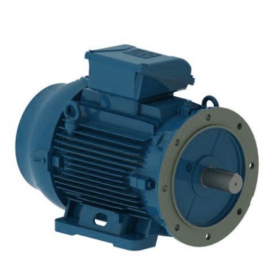 Электродвигатель W22 80 2Р 0,75 кВт IM2081 220В/380В IP55 WEG IE1